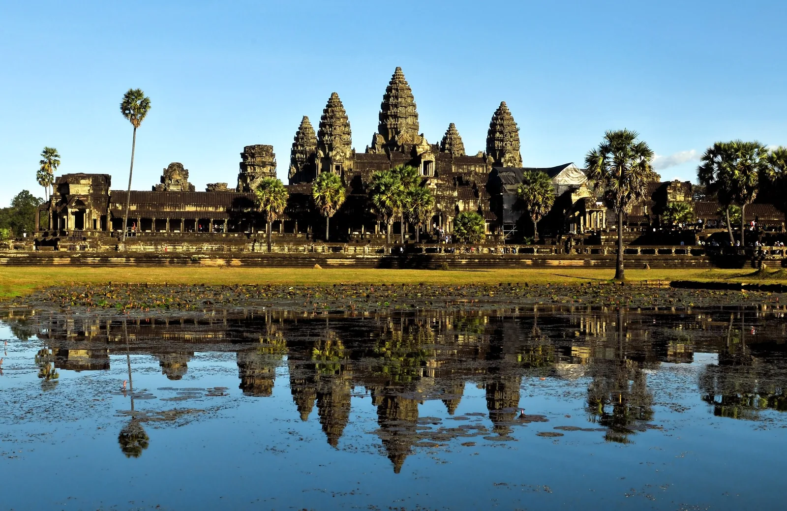 The towers of Angkor Wat rise above palm trees, reflected in a still pond under a clear sky in Siem Reap. The towers of Angkor Wat rise above palm trees, reflected in a still pond under a clear sky in Siem Reap.