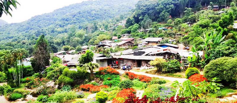 A hillside village and its gardens in the mountains north of Chiang Mai A hillside village and its gardens in the mountains north of Chiang Mai