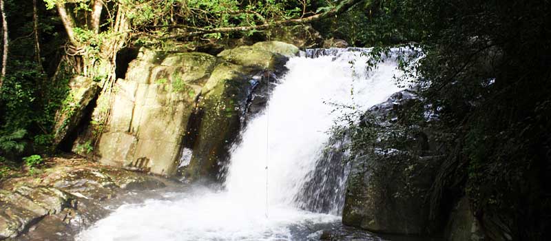 A forest waterfall in the hills of northern Thailand A forest waterfall in the hills of northern Thailand